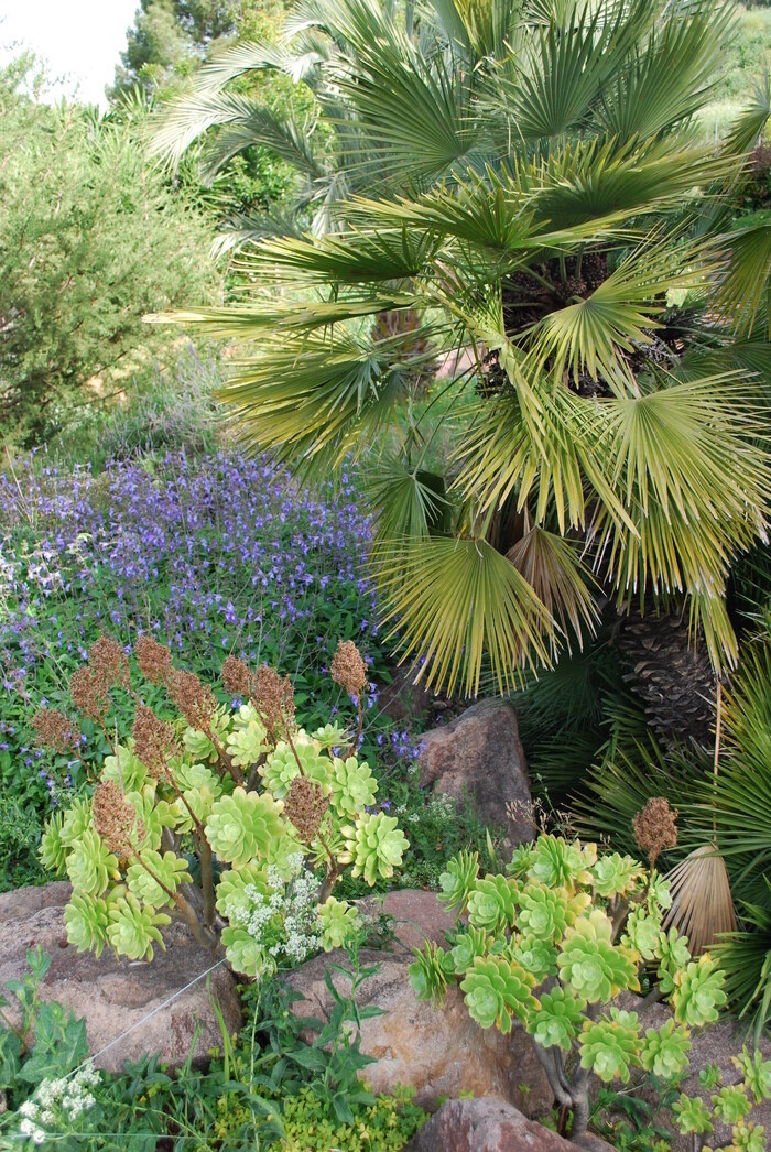 Atelier de rempotage de plantes aromatiques