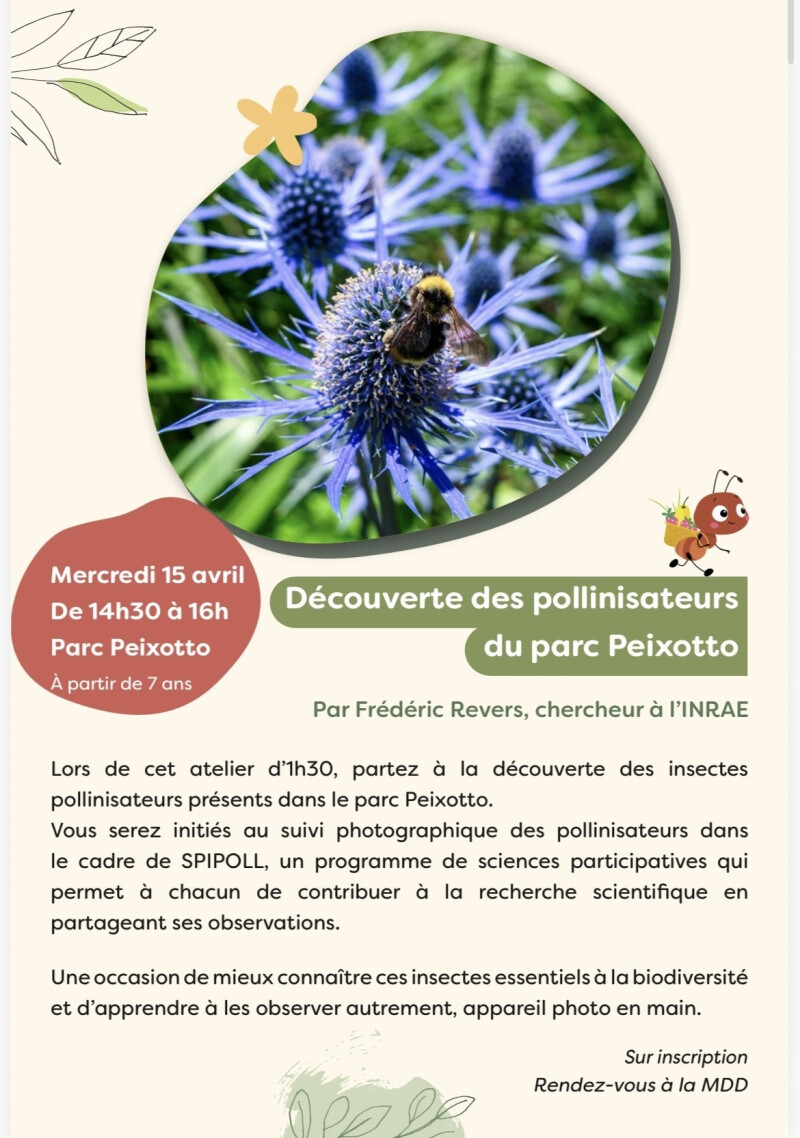 Découverte des pollinisateurs du parc Peixotto