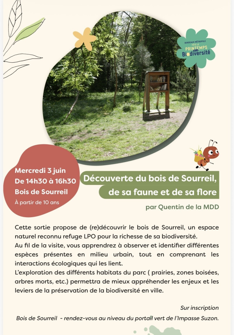 Découverte du bois de Sourreil