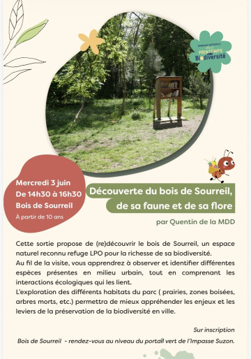 Découverte du bois de Sourreil