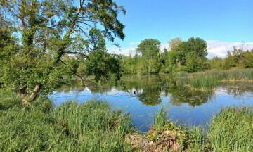 Balade contée à Long