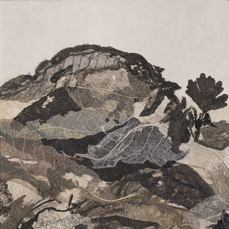 Balade contée autour de la nature