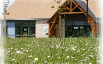 Exposition « Rétrospective 2006-2026 » à Selommes