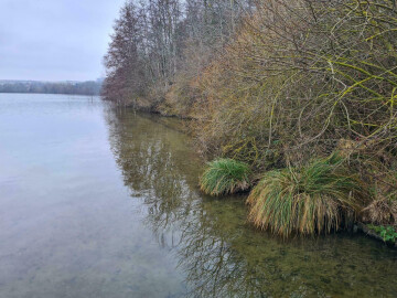 Balade contée - Cléry-sur-Somme