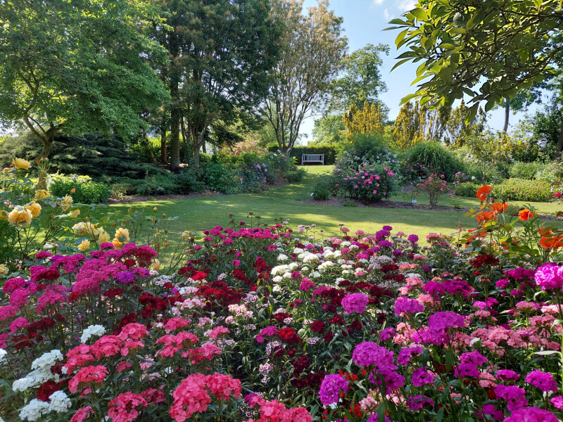 Visite libre du parc