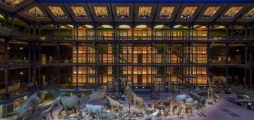 Visite libre de la Grande Galerie de l’Évolution