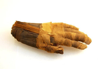 Votre nuit aux musées de Grasse - les musées prennent vie