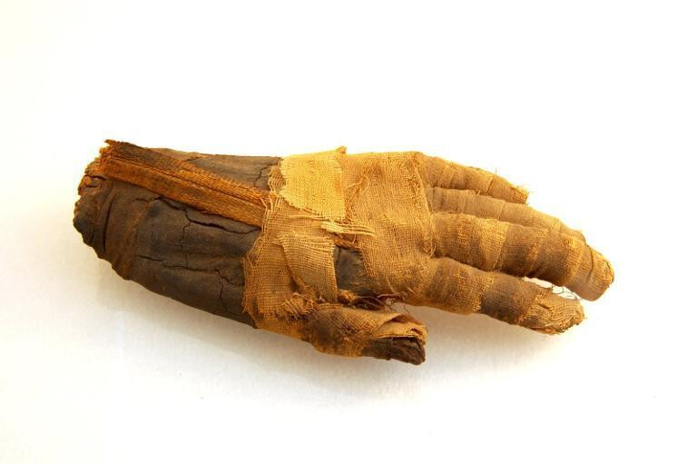 Votre nuit aux musées de Grasse - les musées prennent vie