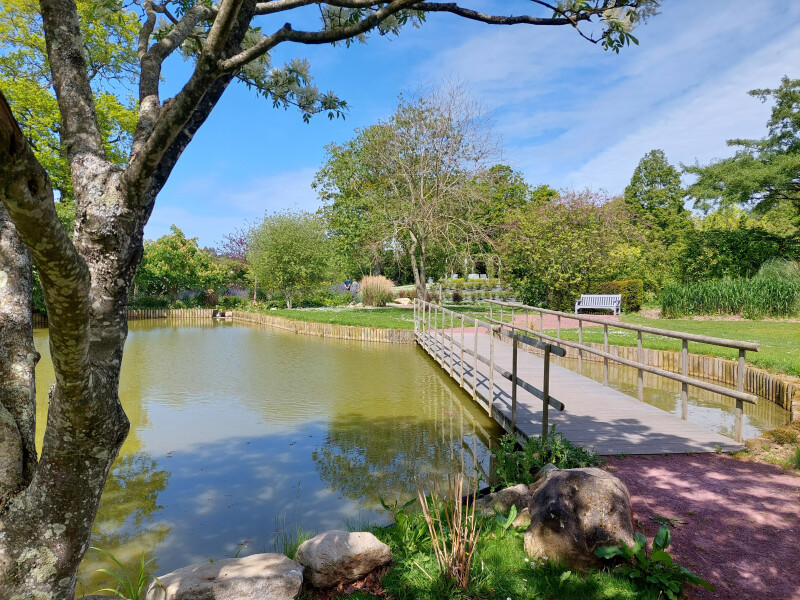 Démonstration : le Bassin aux Nymphéas