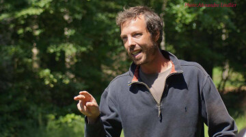 Balade contée en forêt de Crécy