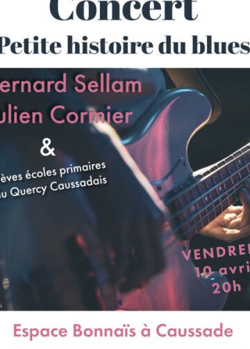 Une Petite Histoire du Blues