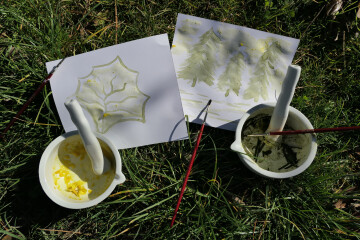 Découverte du musée et atelier de peinture végétale