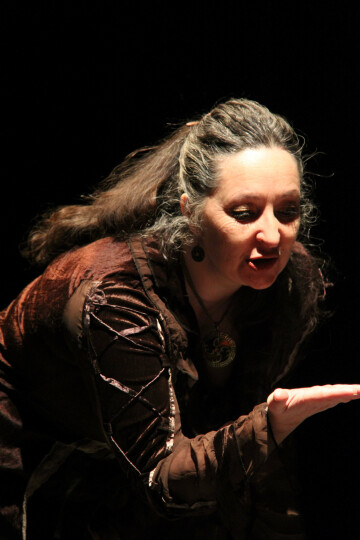 L'eau dans tous ses états au jardin du domaine de Vizille