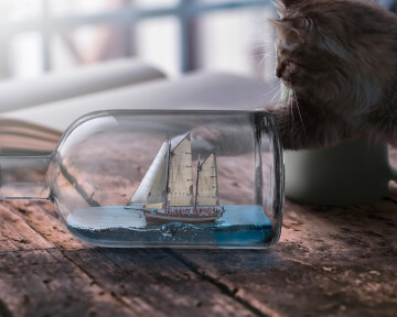 Atelier créatif à Selommes