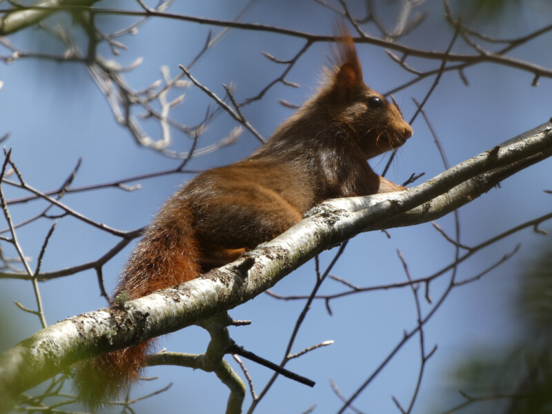 Un oeil sur la nature au jardin de Saint-Martin