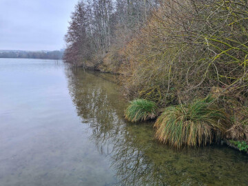 Balade contée - Cléry-sur-Somme