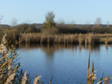 Balade contée - Etang de Sacy-le-Grand