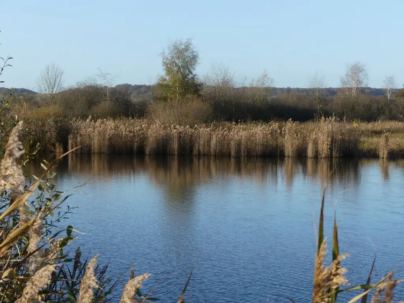 Balade contée - Etang de Sacy-le-Grand