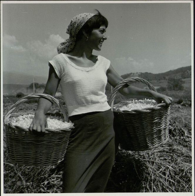 Votre nuit aux musées de Grasse - les musées prennent vie