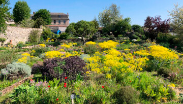 Visite contée de l'Herbarium