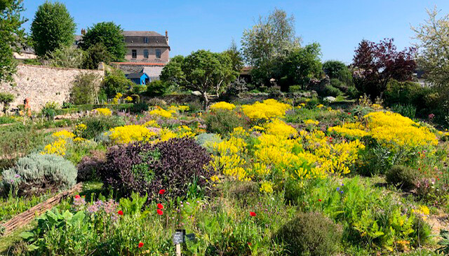 Visite contée de l'Herbarium