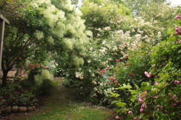 Visite découverte du Clos de la Cornière