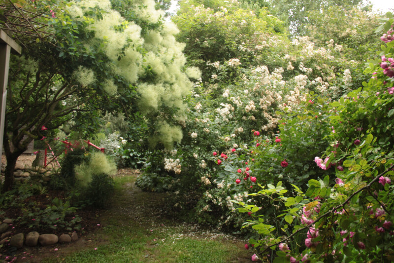 Visite découverte du Clos de la Cornière
