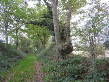 Land Art sur le Chemin du vieux bocage à Le Temple