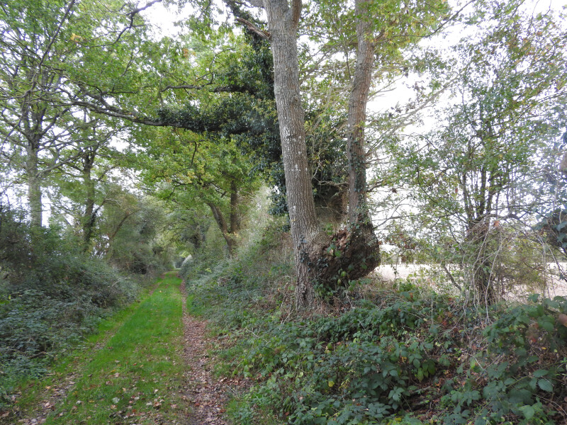 Land Art sur le Chemin du vieux bocage à Le Temple