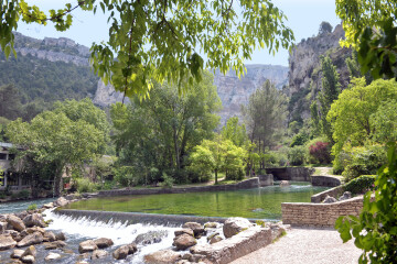 Découverte de la faune et de la flore