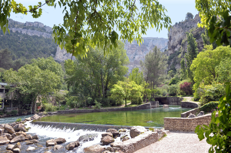 Découverte de la faune et de la flore