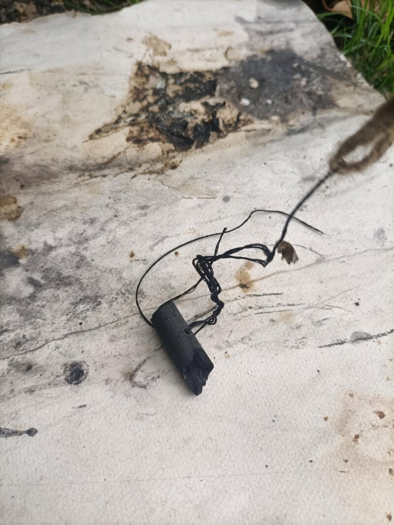 Là où l’hyphe murmure à la cime, installation et performance de Matthieu Sené dit Hu/Lie