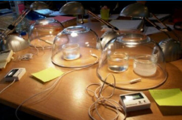 Jouons autour du climat