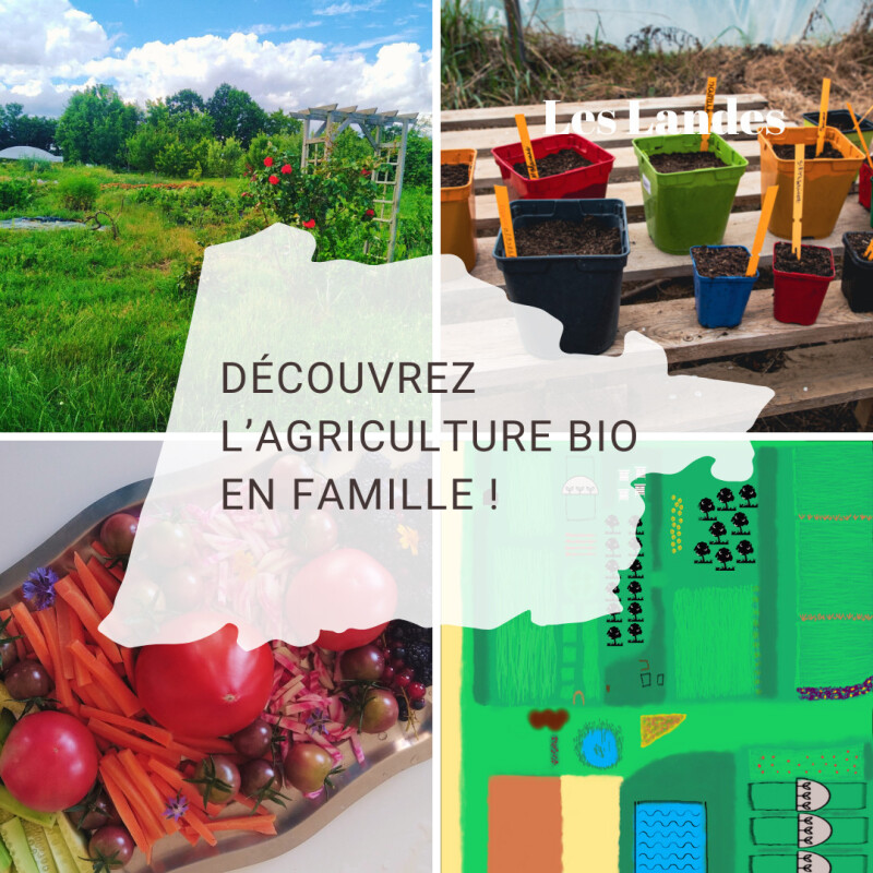 Découvrez l'agriculture bio en famille !