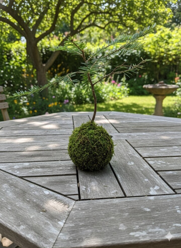 Atelier Kokedama – les jardins suspendus