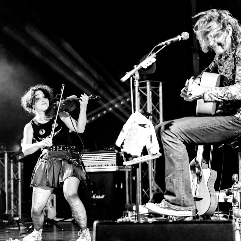 Jeudis du Pilori - Grumpy o sheep