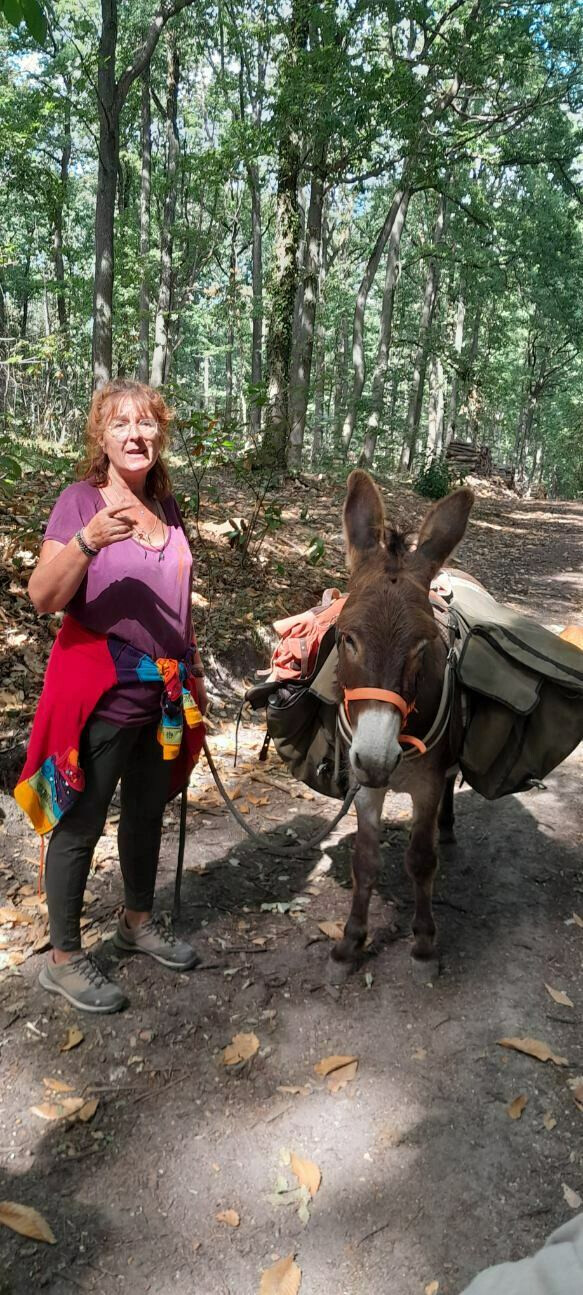 Balade contée avec un âne : la forêt enchantée