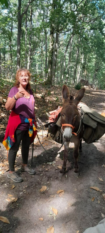 Balade contée avec un âne : la forêt enchantée