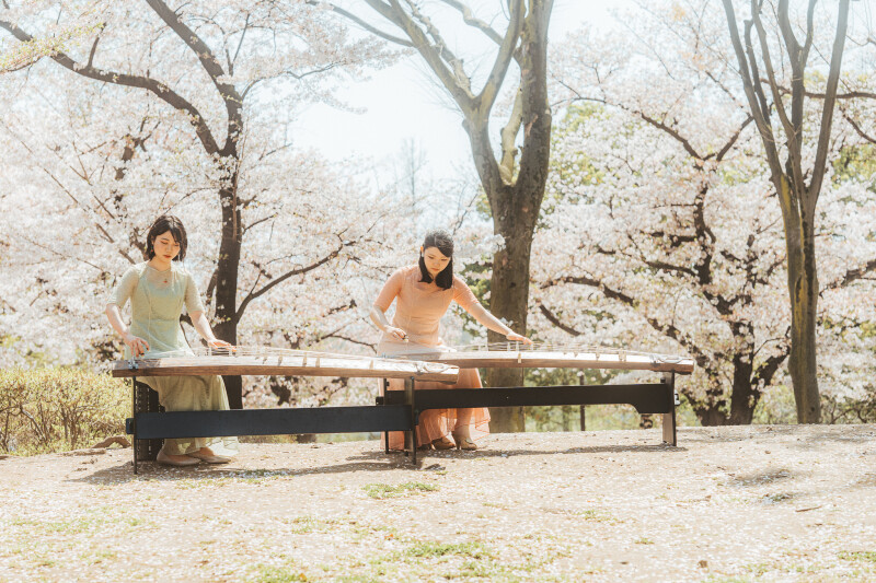 Concert : L’harmonie culturelle au son du koto