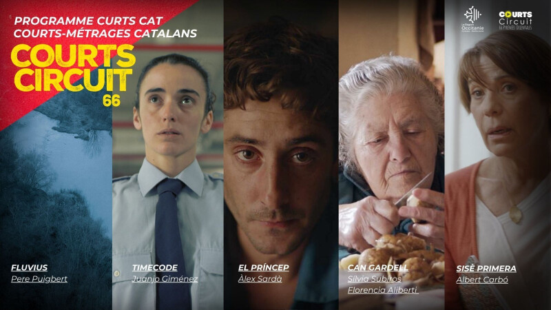 Courts Circuit 66 - Projection "Curts Cat"