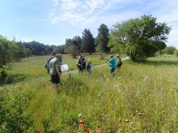 Les insectes à portée de main