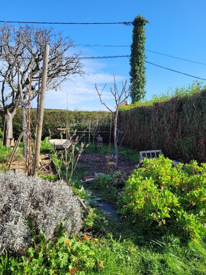 Aménager son espace pour accueillir la biodiversité avec La LPO