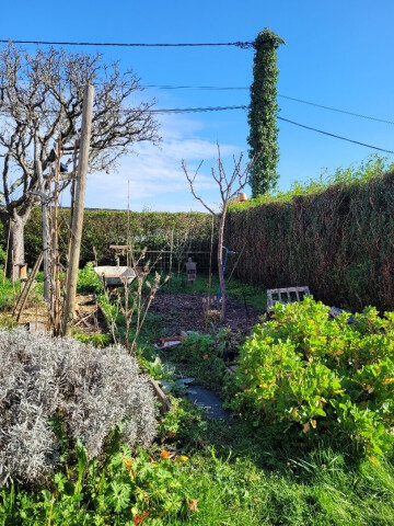 Aménager son espace pour accueillir la biodiversité avec La LPO