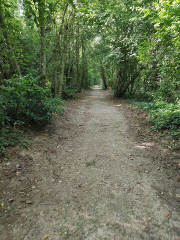 Découvrir la forêt autrement *Version “FALC” (Facile à Lire et à Comprendre)