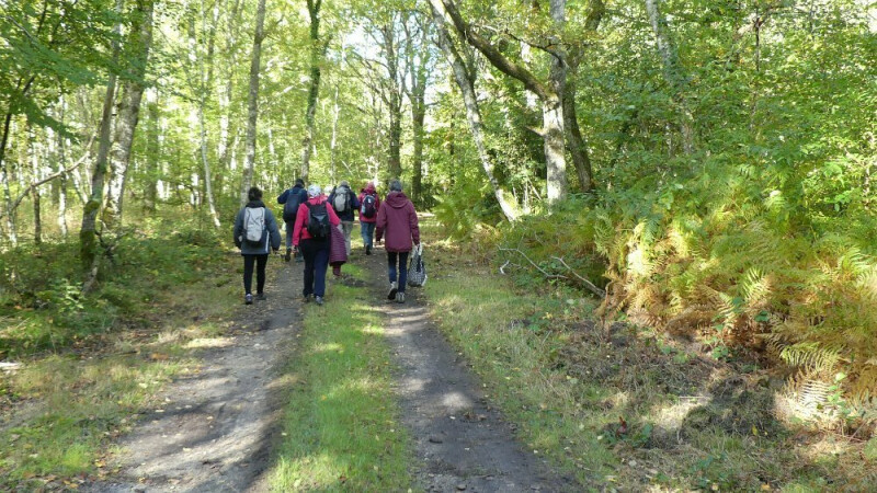Une marche en pleine nature, avec un professionnel de la randonnée et un naturaliste
