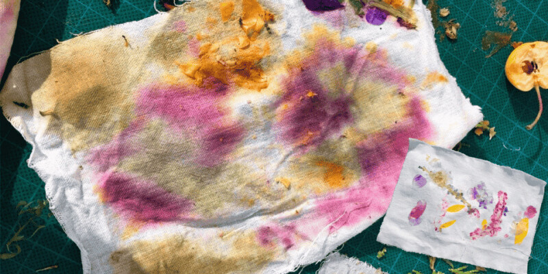 Balade & impressions florales