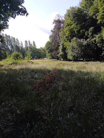 Les trésors du Bois du Piple