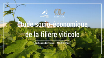 Webinaire : Etude socioéconomique de la filière viticole Occitanie -Méditerranée