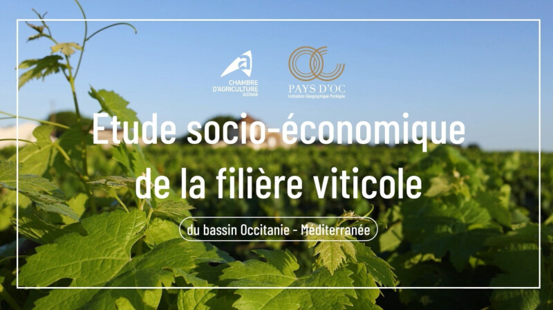 Webinaire : Etude socioéconomique de la filière viticole Occitanie -Méditerranée
