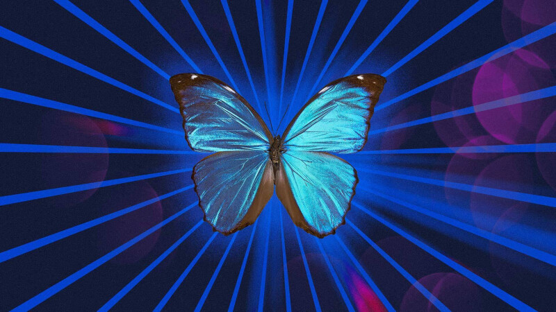 Soirée de clôture de l’exposition L’énergie du Vivant